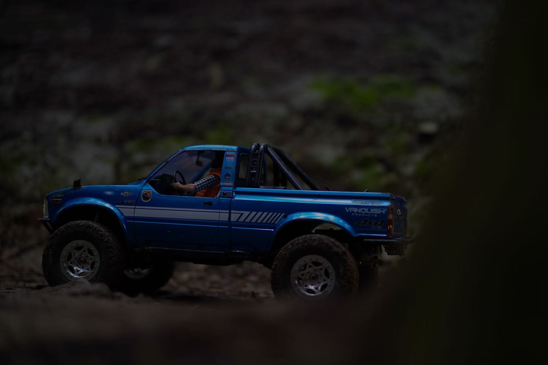 田宫山猪上山了